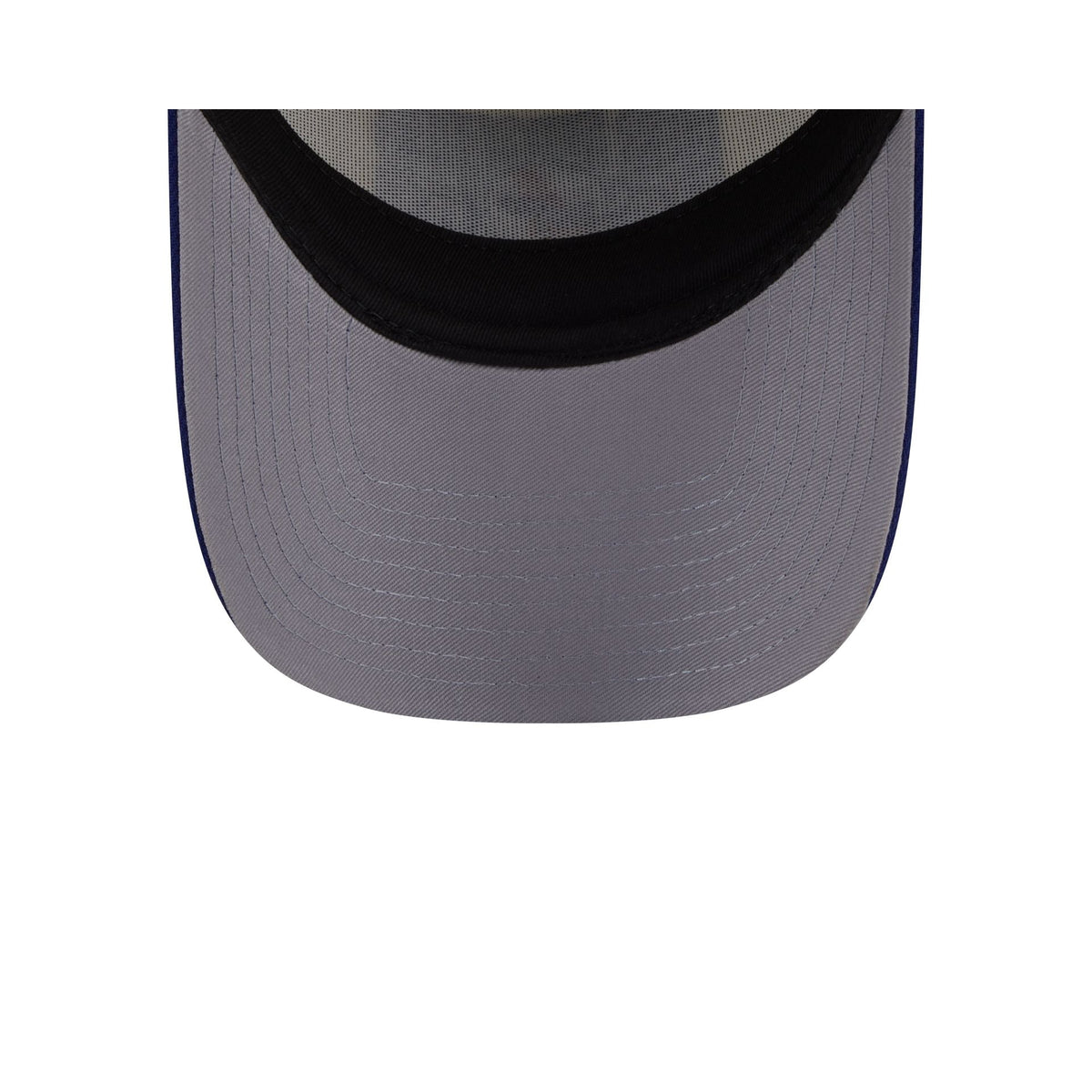 Los Angeles Dodgers Classic Tones 9FORTY A-Frame Snapback Hat