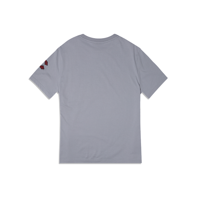 Cincinnati Reds City Connect Gray T-Shirt