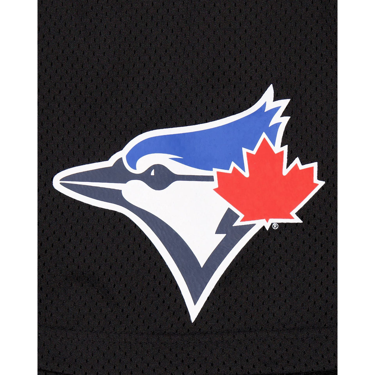 Toronto Blue Jays Mesh Shorts